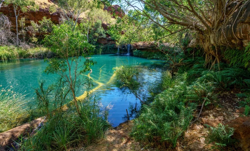 Karijini National Park is Western Australia's second largest national park and one of the most spectacular sights in the Pilbara.