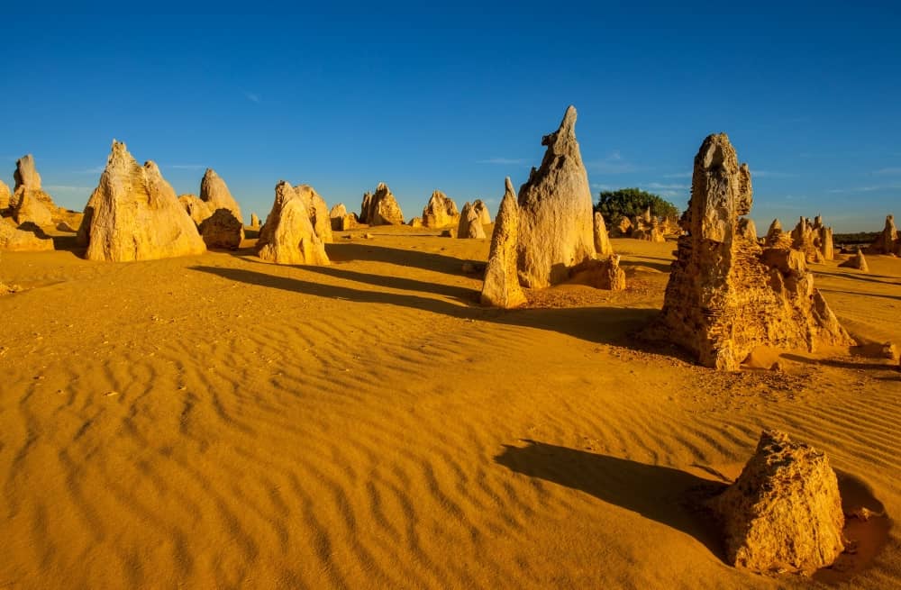 The lunar-like Pinnacles form one of Australia's most unique and fascinating natural landscapes.